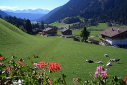 Ausblick vom Balkon von der Ferienwohnung Alpenveilchen